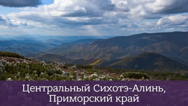 Интересные и веселые картинки