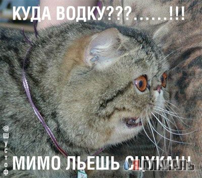 Народный котомет на фторинег