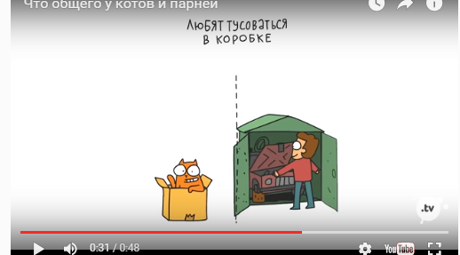Что общего у девушек и кошек