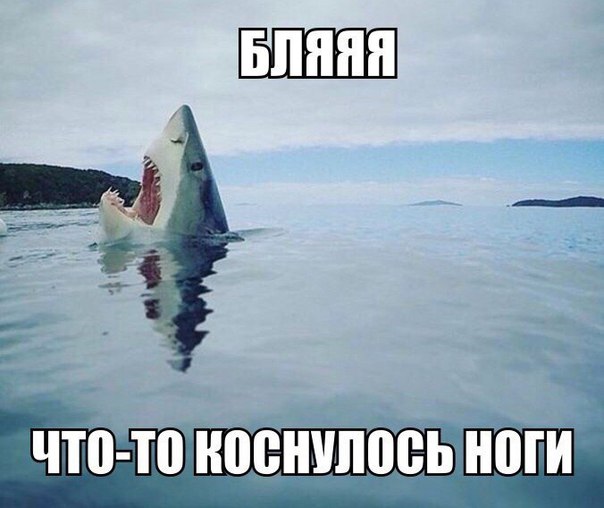 Подборка интересных и веселых картинок