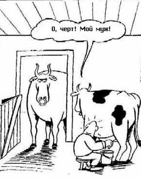 Депутаты хотят ограничить количество животных в квартире