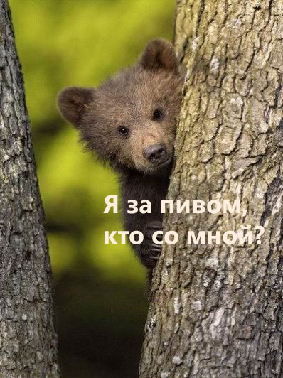 С ПЯТНИЦЕЙ!