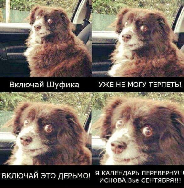 Полночь! наконец то 3 сентября! Мы долго ждали этой минуты!