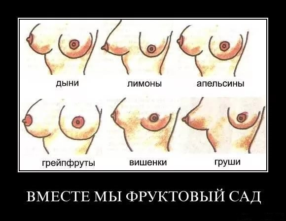 Как правильно разделить сиськи