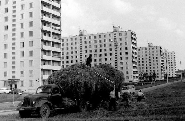 Интересные и редкие фотографии