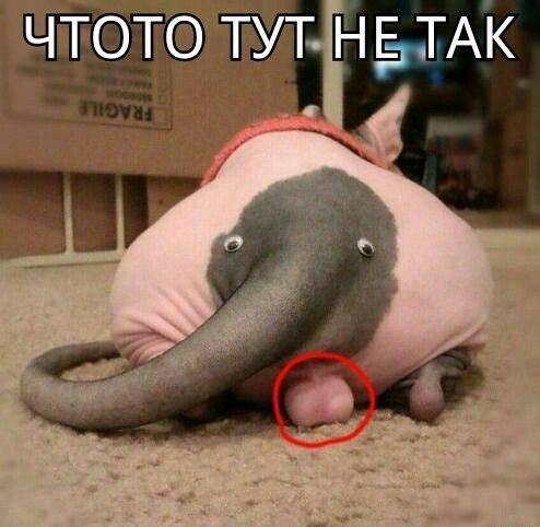 Нестандартный юмор