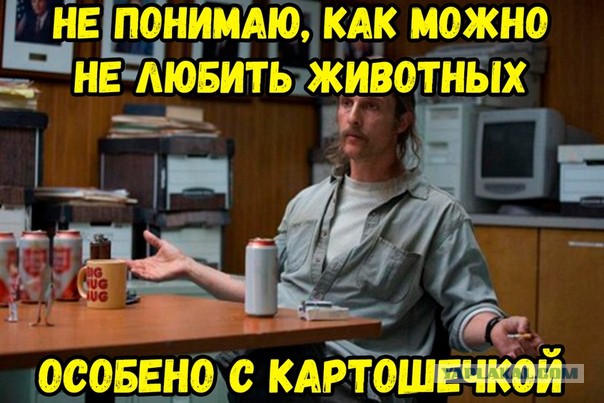 Шах и мат Вам, дарвинисты!