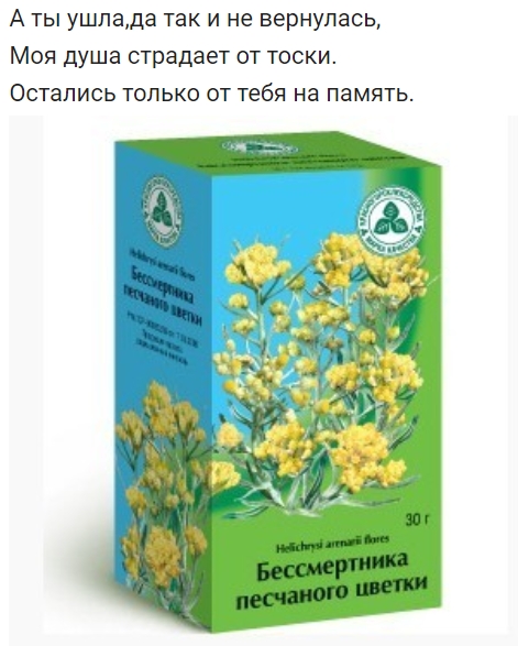 Вижу Рифмы