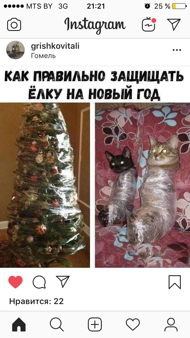 Хвастаемся своими елками!