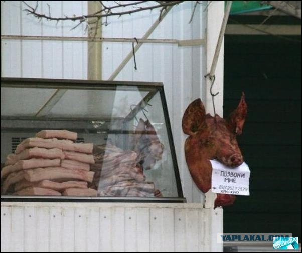 Свинина на заказ