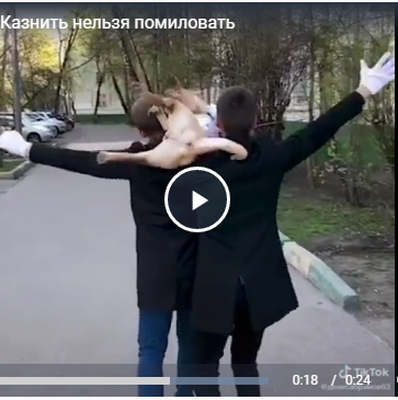 Казнить нельзя помиловать