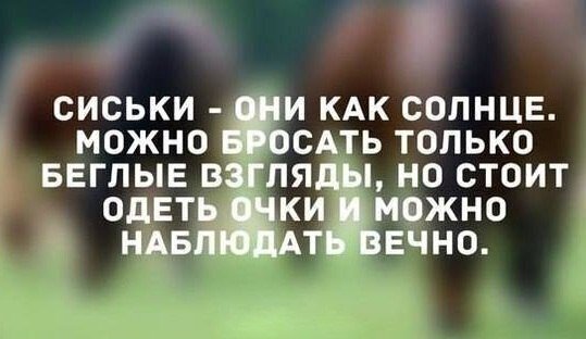 Из чебурека в расстегай