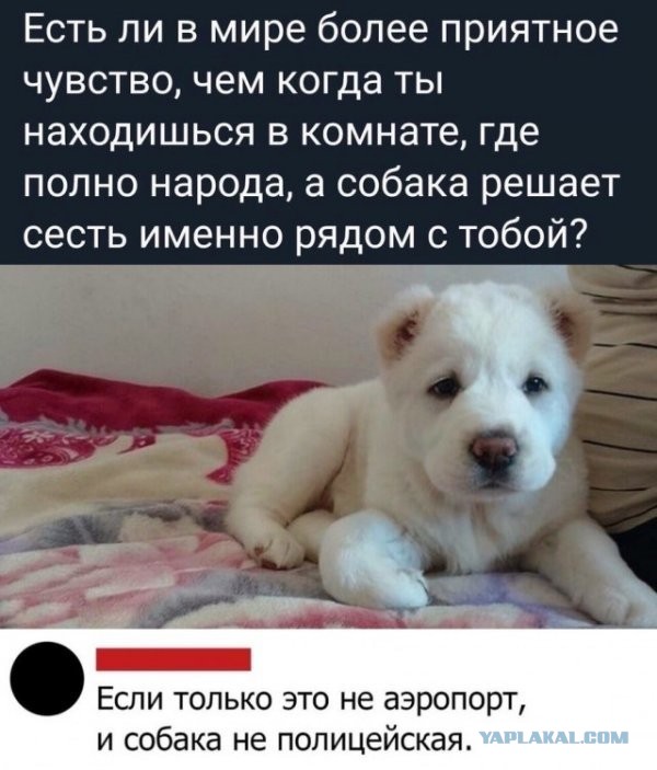 Бредзона 01.07.20