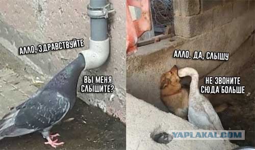 Замена ремня ГРМ