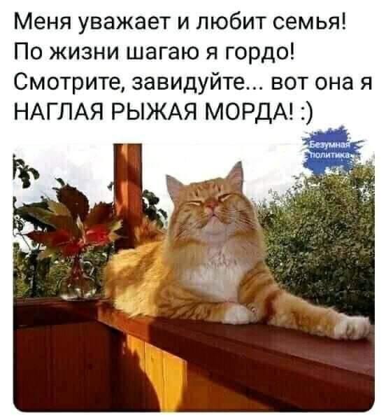 Картинки всякие, 27.08.2020