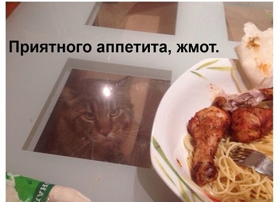 Забавные шутки, картинки и фразы из этих ваших интернетов