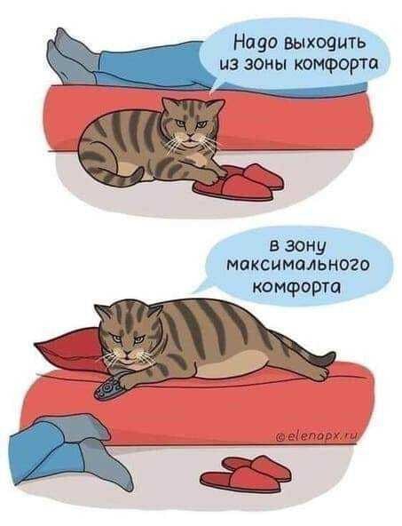 15002569.jpg