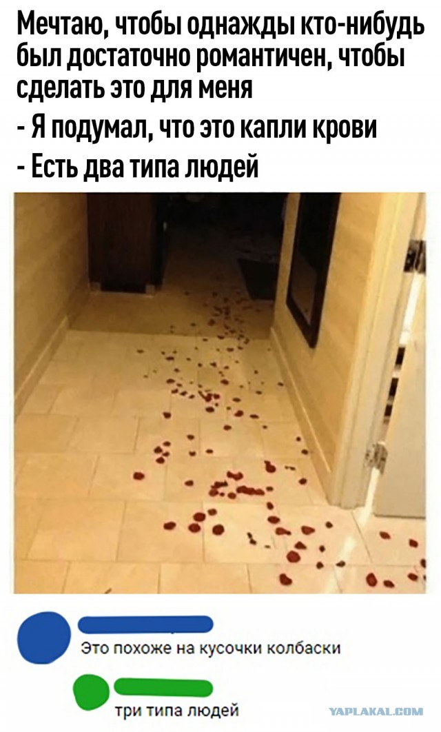 Картинки и мемы для настроения 005