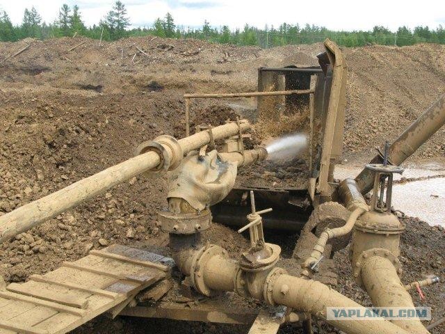 Золото для России
