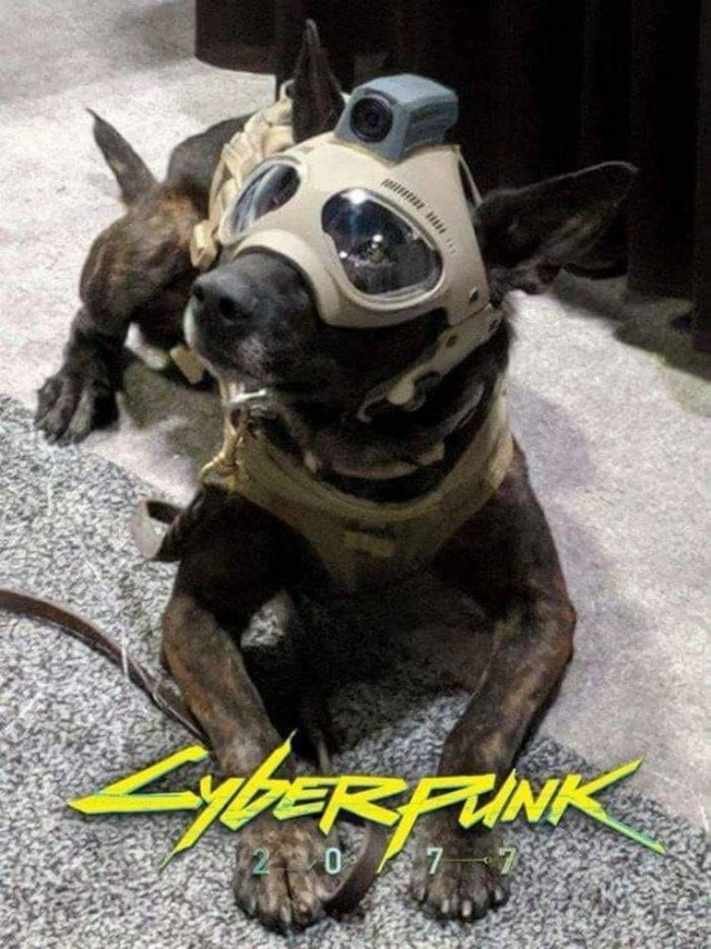 Насохранял