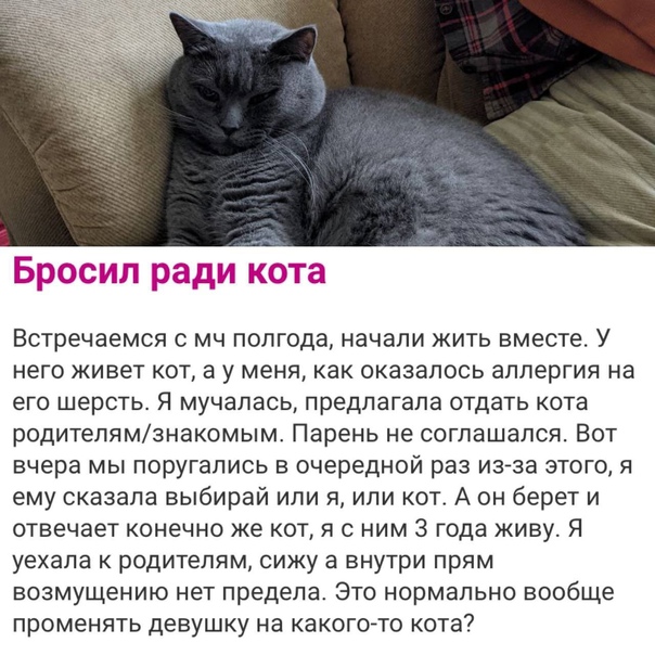 Картинки и мемы, всем прекрасных выходных