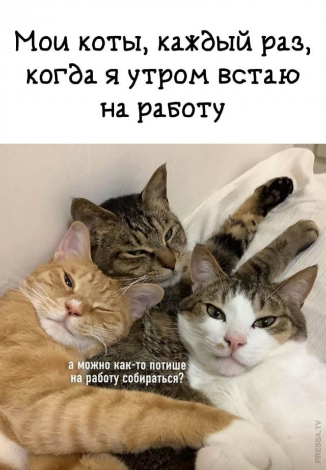 Картинки и мемы для настроения  - 27