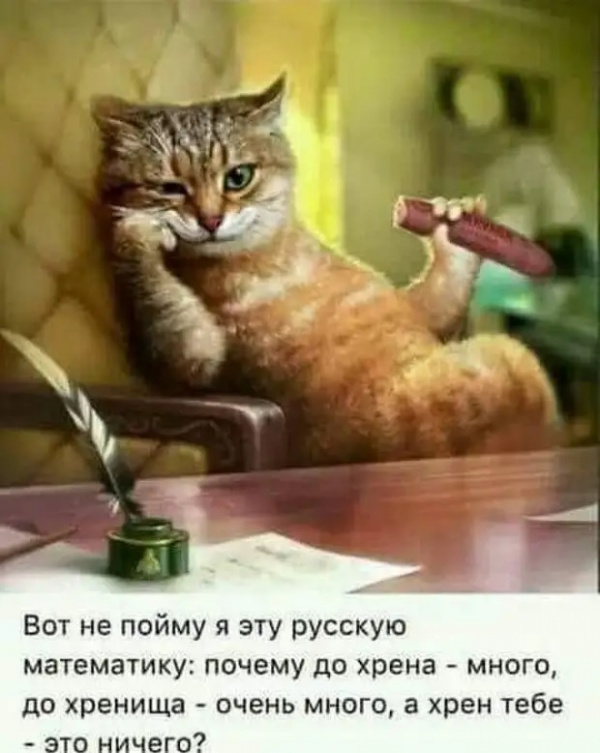 Картинки и мемы для настроения  - 31