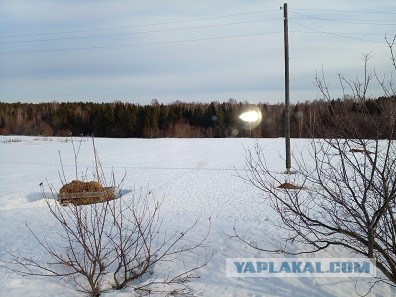 А какая у Вас сегодня весна за окном?!