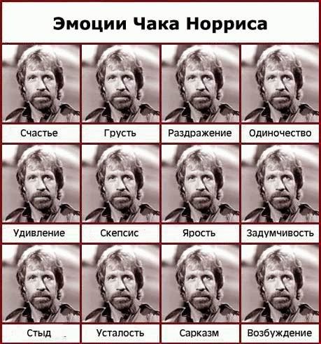 50 оттенков серого. Vol.9 Или самосвал баянов