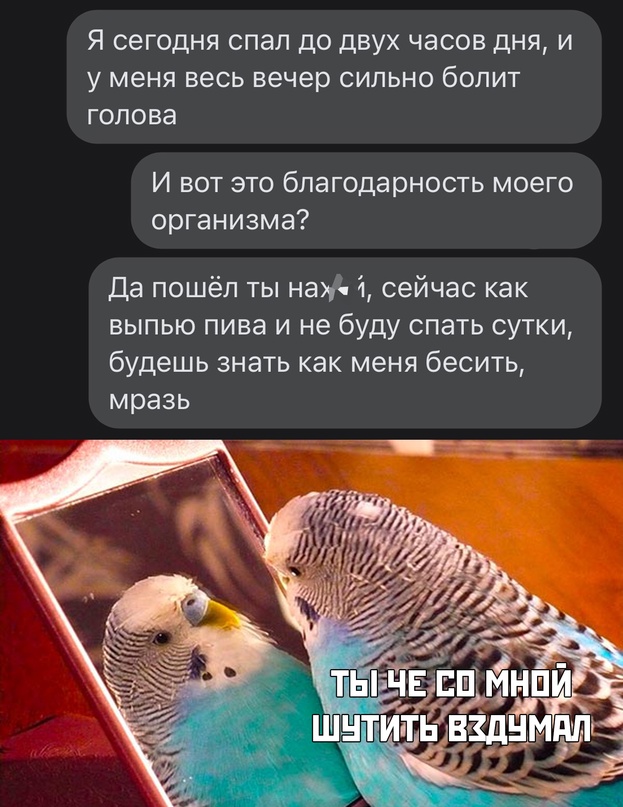 Картинки и мемы для настроения - 21