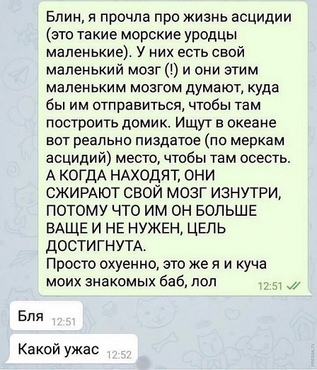 А что вообще в мире делается?