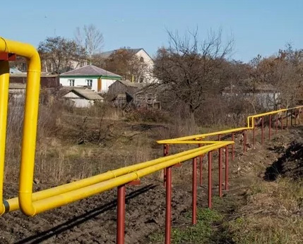 Про любовь к котикам