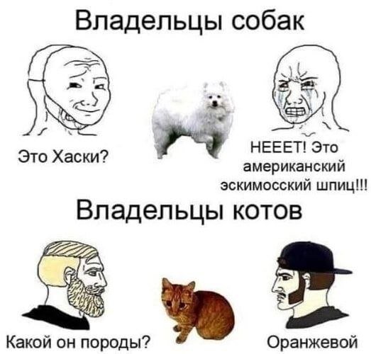 Немного картинок для настроения - 112