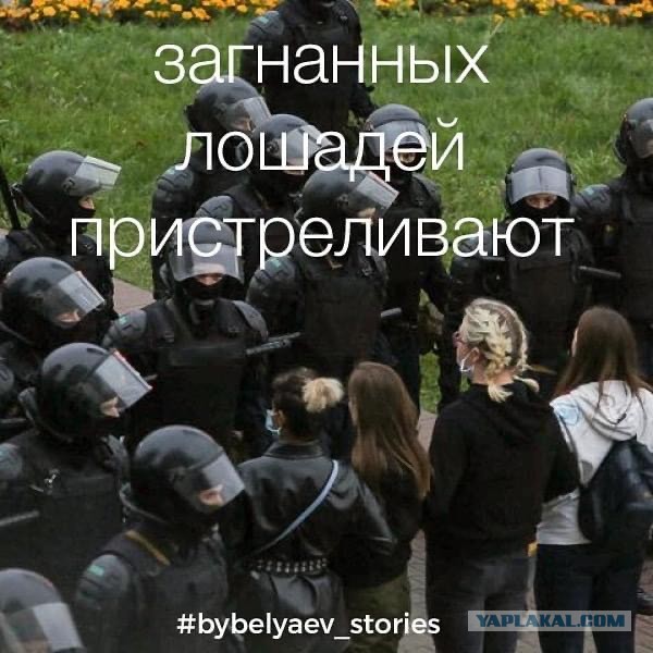 Последнее предсмертное видео Кирилла Стремоусова от 9 ноября