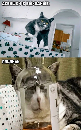 Картинки и мемы, всем хороших выходных