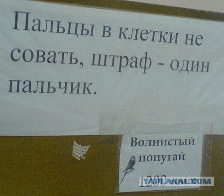 Приколы из Казахстана