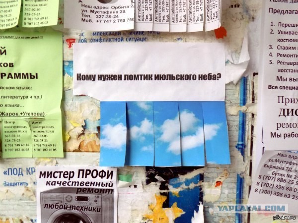 Всё прошло по плану