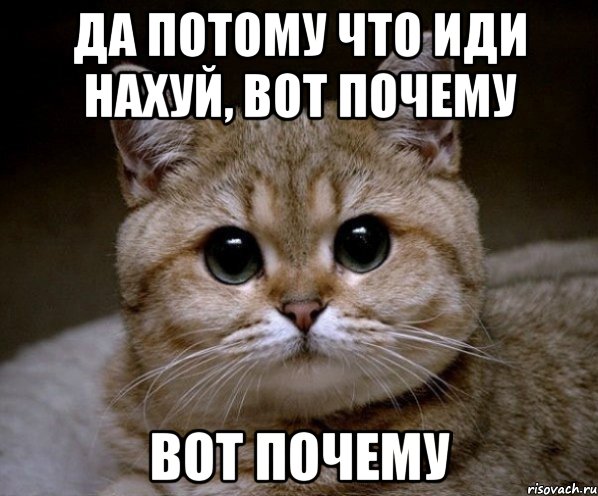 Мем зачем приходил чего хотел