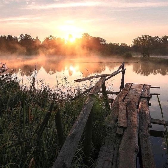 Прикольные и просто красивые картинки 15.09.2023