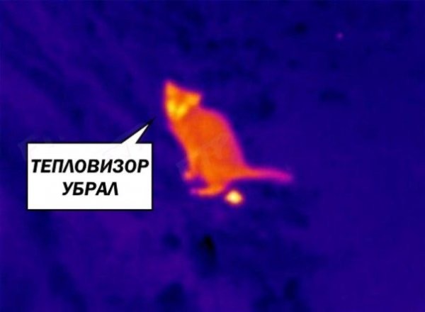Горяченькое