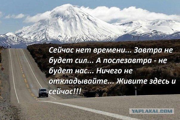 Так себе картинки 13.04.24