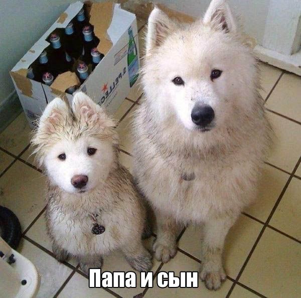 Картинки и буквы 24.06.2024