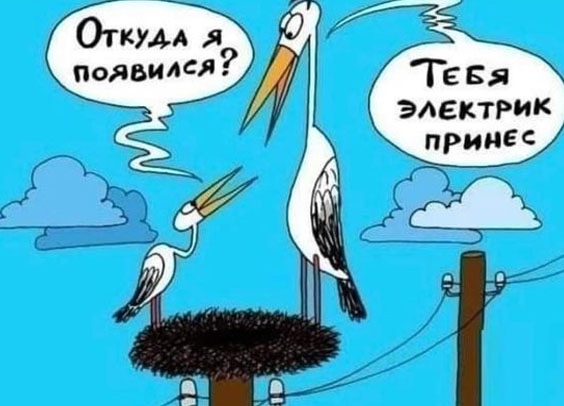 Так себе картинки 07.11.24
