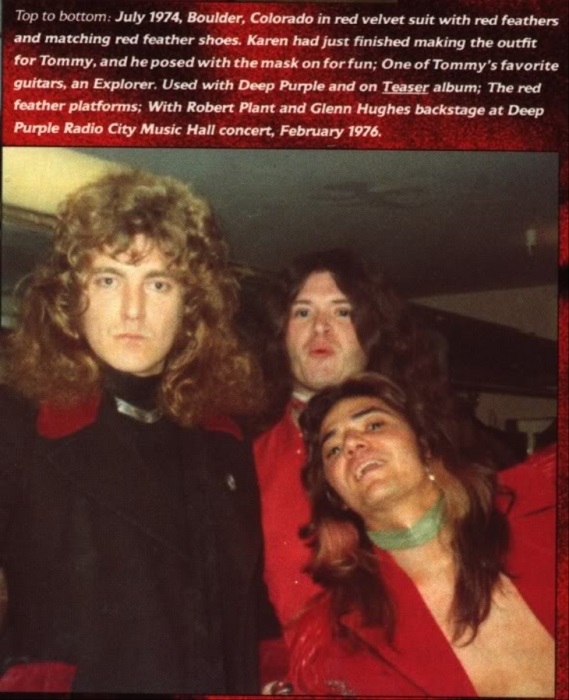 Музыка и музыканты: Purple Zeppelin (Пурпурный Дирижабль)