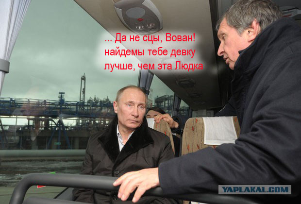 Грустный какойто, на лиса  похож