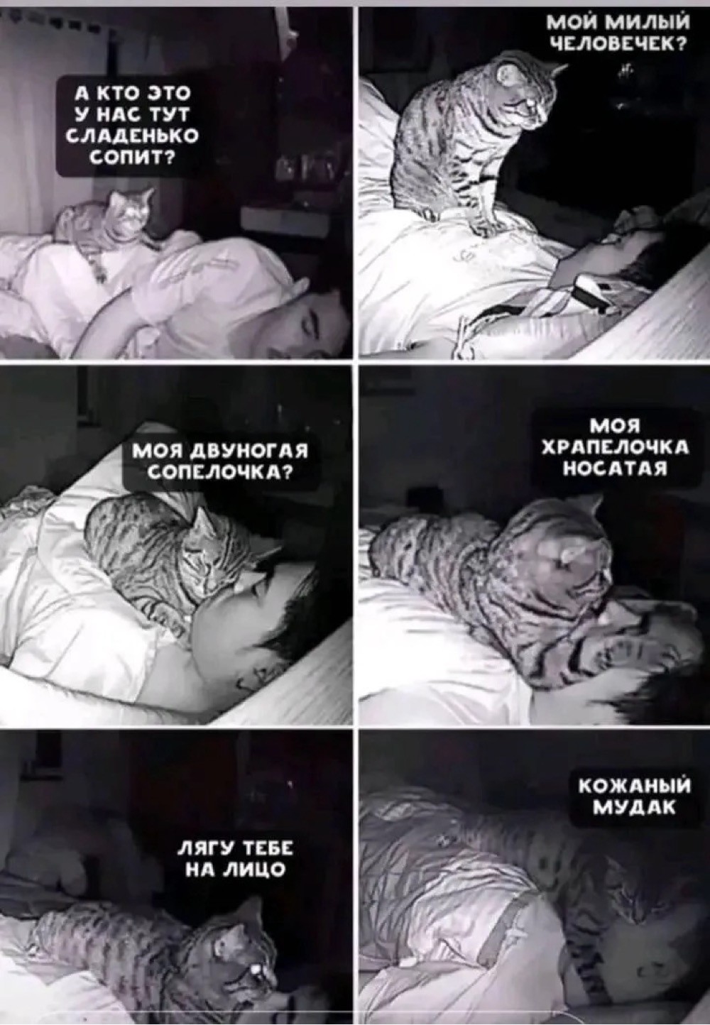 20123569.jpg