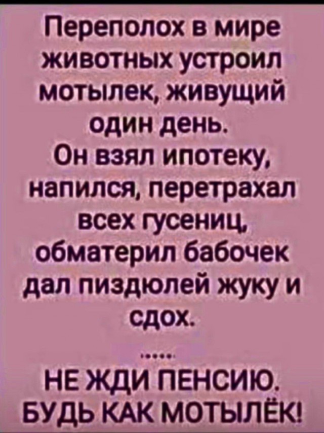 Так себе картинки 11.11.25