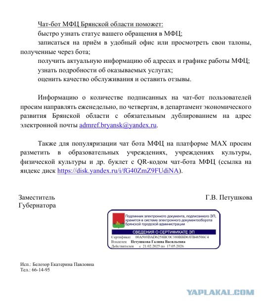 Максификация страны