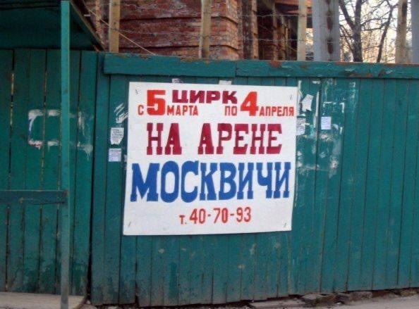 Мой кот