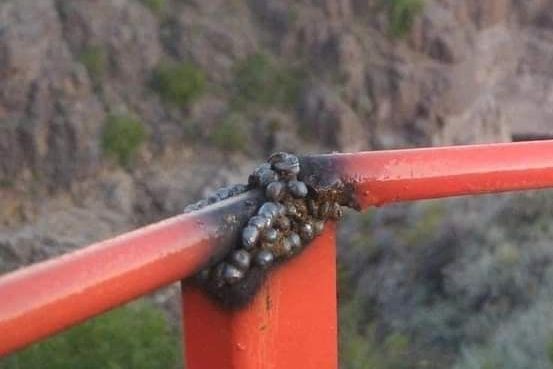 Я не настоящий сварщик